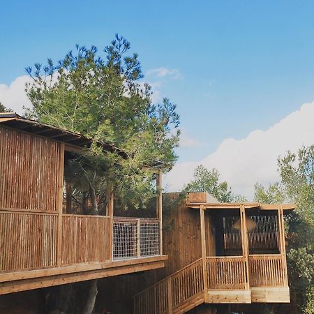 Villa Occitana Calvisson Zewnętrze zdjęcie